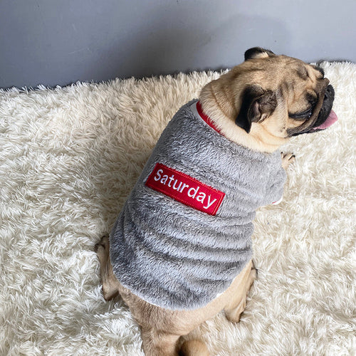 Blue Dog Sweater – Soft Cotton Warm Pet Clothes for Small Dogs