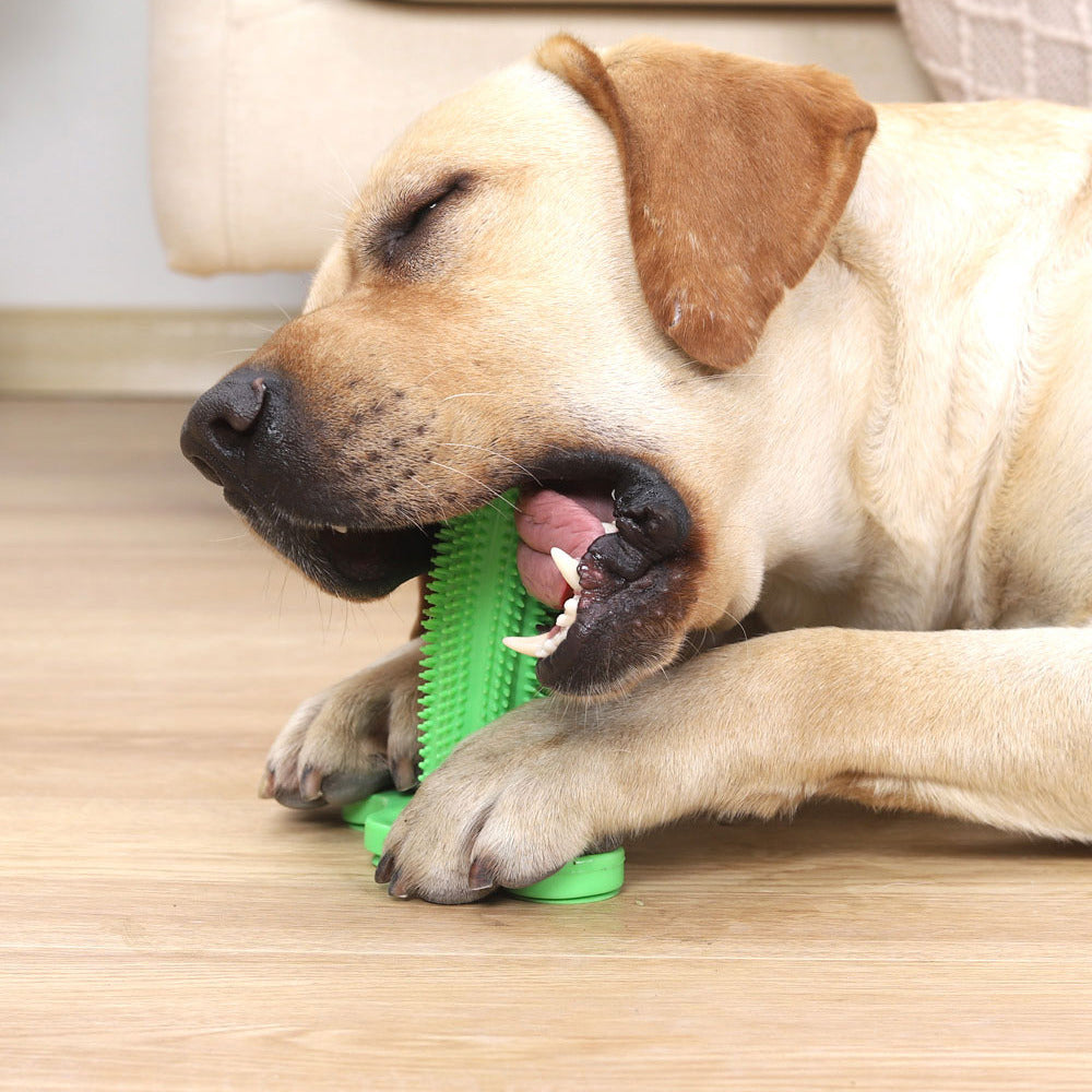 Suction Cup Dog Chew Toy for Teeth Cleaning – Durable TPR