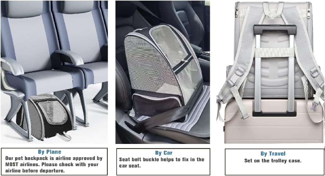 Bubble Backpack Pet Carrier – Transparent Cat & Dog Travel Bag