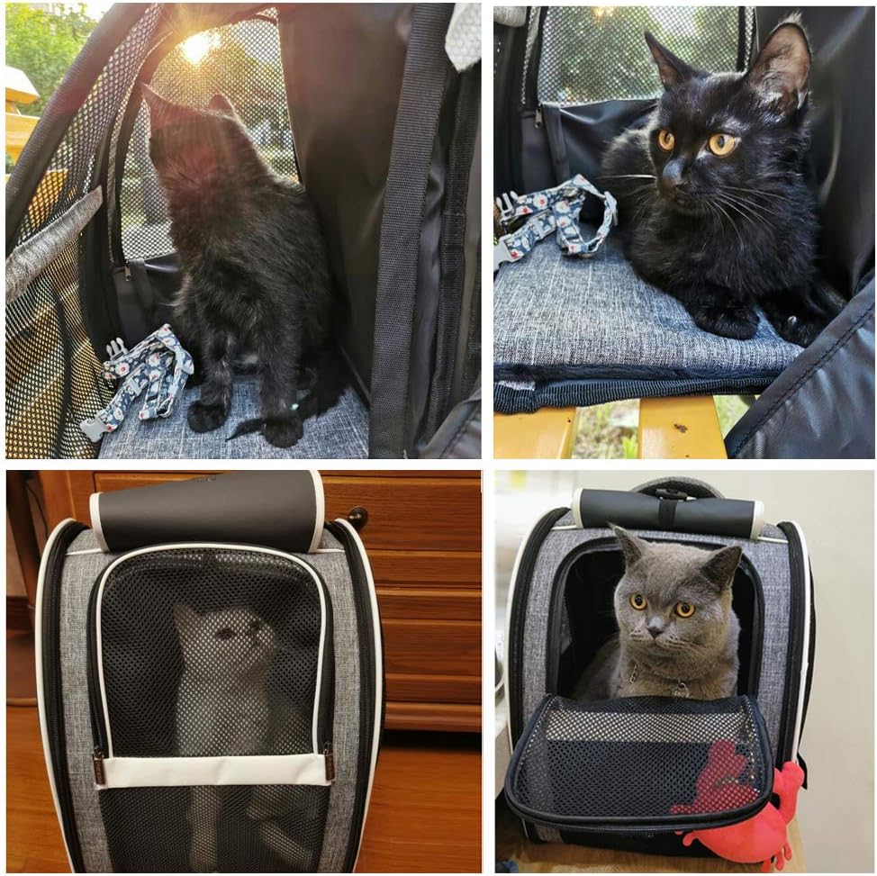 Bubble Backpack Pet Carrier – Transparent Cat & Dog Travel Bag