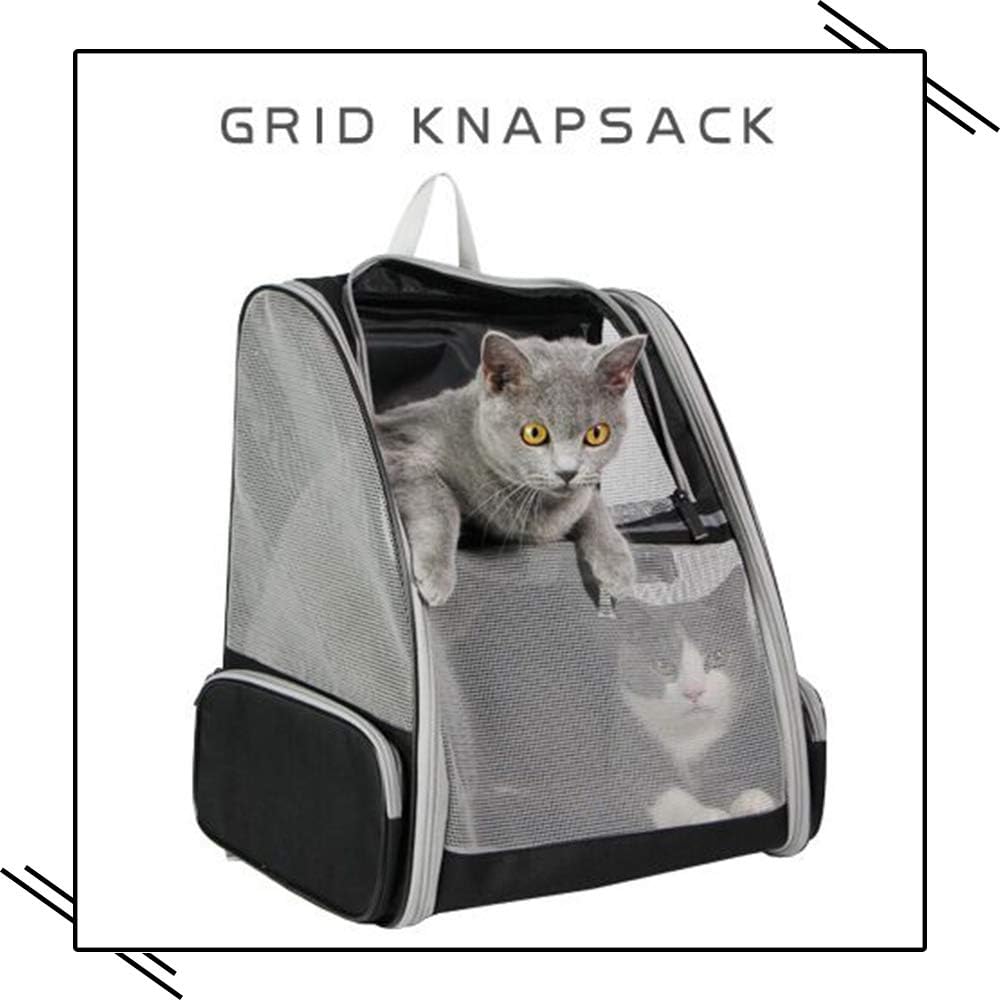 Bubble Backpack Pet Carrier – Transparent Cat & Dog Travel Bag